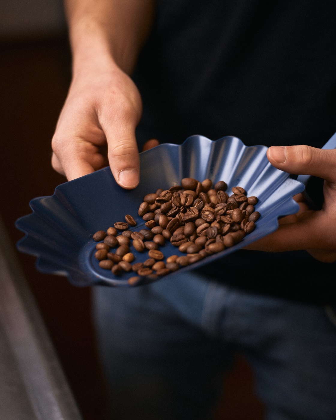 Ziarna kawy trzymane na niebieskiej tacy